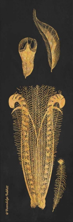 Picture of GOLD FEATHERS I