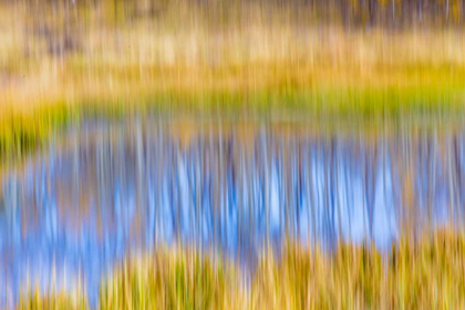 Picture of FALL POND I