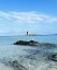 Picture of SEA-TOWER-PELOSA-SEAGULL