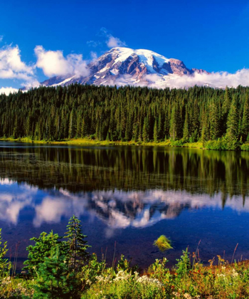 Picture of MT. RAINER II