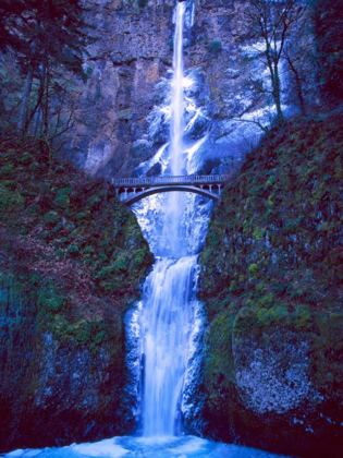 Picture of MULTNOMAH FALLS WINTER