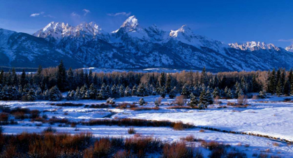 Picture of GRAND TETON NATIONAL PARK XVI