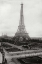 Picture of VINTAGE PARIS VIII