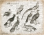 Picture of BIRDS I