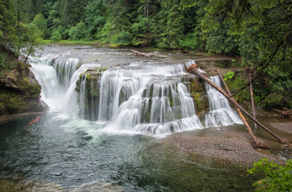 Picture of LOWER LEWIS RIVER FALLS