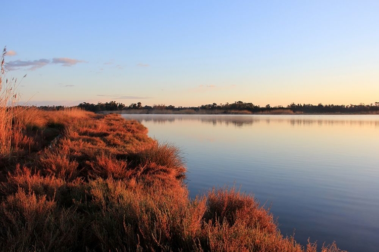 Picture of RELAX-VIEW-POND-ALGHERO-LANDSCAPE