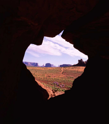 Picture of MONUMENT VALLEY VIII