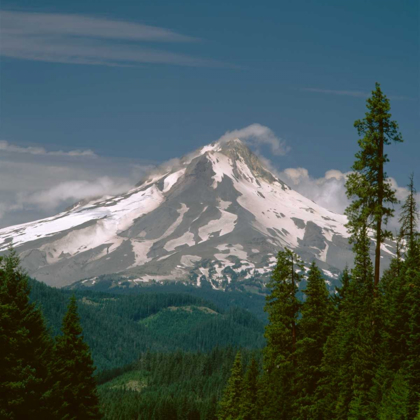 Picture of MT. HOOD EAST SIDE