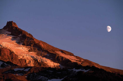 Picture of MT. HOOD XIV