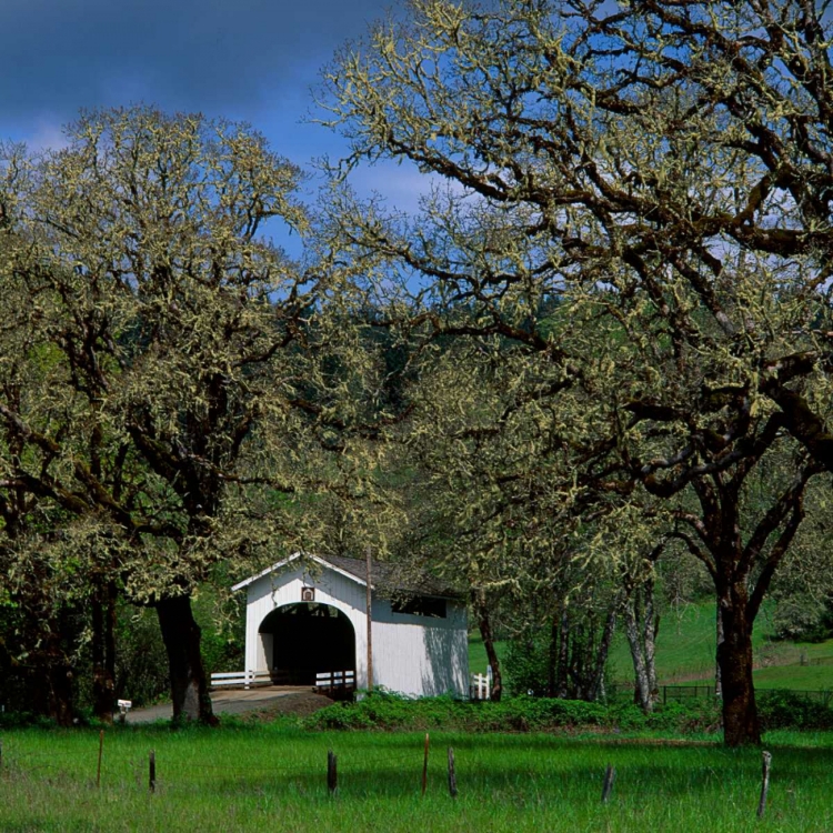 Picture of HARRIS COVERED BRIDGE