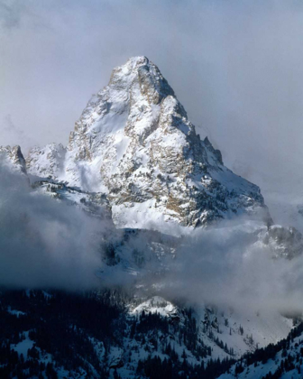Picture of GRAND TETON NATIONAL PARK IV