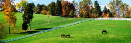 Picture of VIRGINIA HORSE FARM II