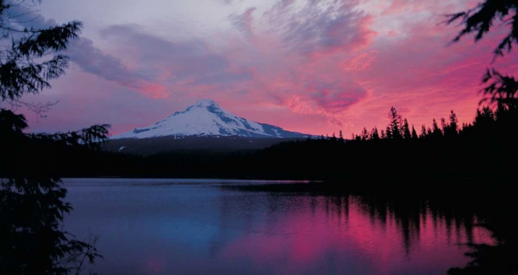 Picture of MT. HOOD XXX