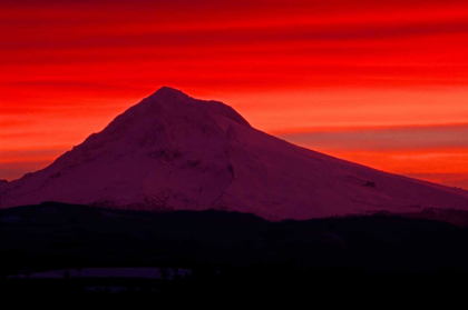 Picture of MT. HOOD XXVIII