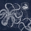 Picture of OCTOPI ON INDIGO I