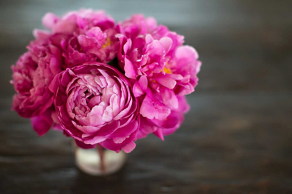 Picture of VINTAGE PINK PEONY