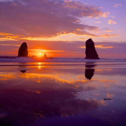 Picture of CANNON BEACH VIII