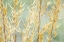 Picture of GOLDEN GRASSES