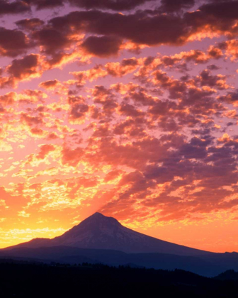 Picture of MT. HOOD XXII