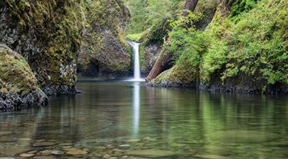 Picture of PUNCHBOWL FALLS