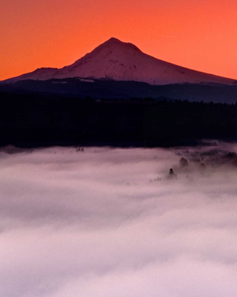 Picture of MT. HOOD XX