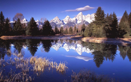 Picture of GRAND TETON NATIONAL PARK XII