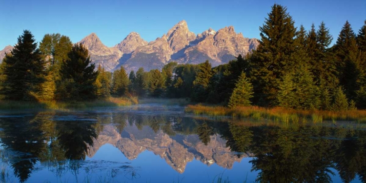 Picture of GRAND TETON NATIONAL PARK XV