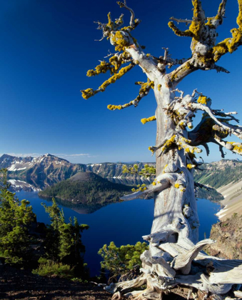 Picture of CRATER LAKE I