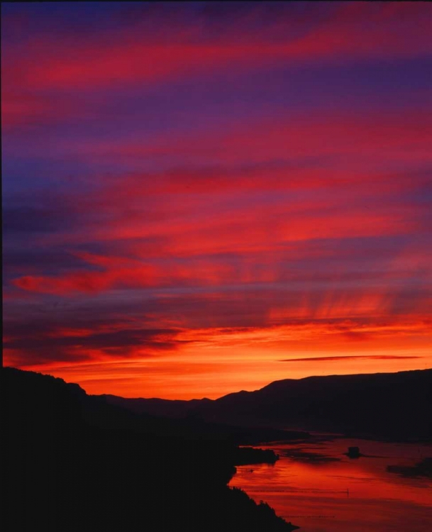 Picture of COLUMBIA RIVER GORGE IV