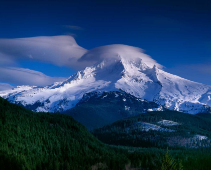 Picture of MT. HOOD XII