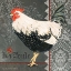 Picture of FRENCH ROOSTER II