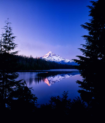 Picture of MT. HOOD VII
