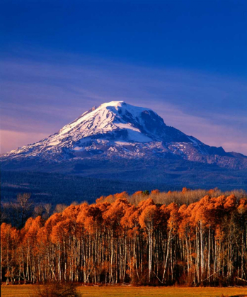 Picture of MT. ADAMS III