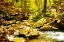 Picture of COVINGTON WOODS II