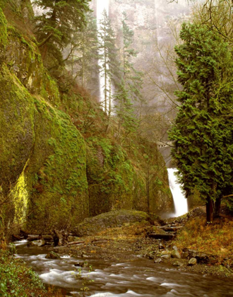 Picture of MULTNOMAH FALLS CREEK SIDE