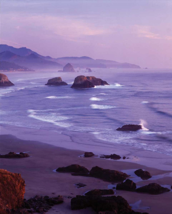 Picture of ECOLA STATE PARK I