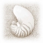 Picture of IN THE SAND III