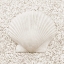 Picture of IN THE SAND VI