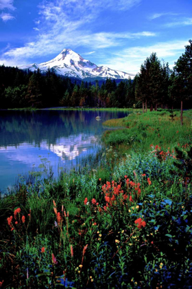 Picture of MT. HOOD III