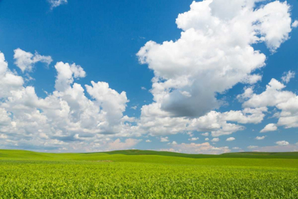 Picture of PALOUSE FARM II