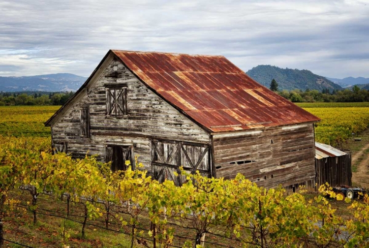 Picture of SONOMA BARN