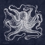 Picture of OCTOPI I