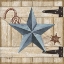 Picture of BARN STAR II