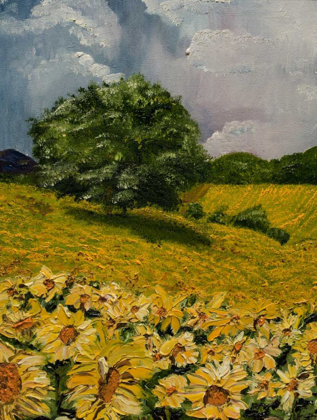 Picture of TUSCAN SUNFLOWERS II