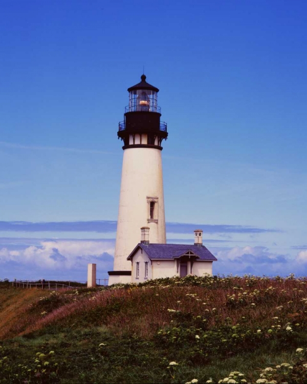 Picture of NEWPORT LIGHTHOUSE