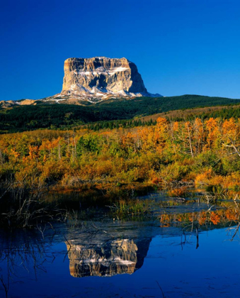 Picture of GLACIER NATIONAL PARK III 