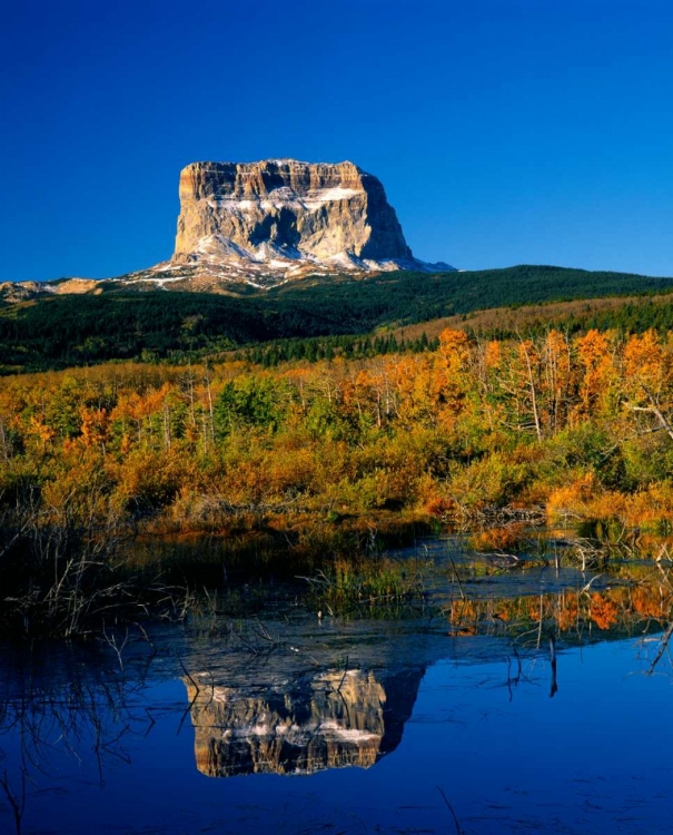 Picture of GLACIER NATIONAL PARK III 
