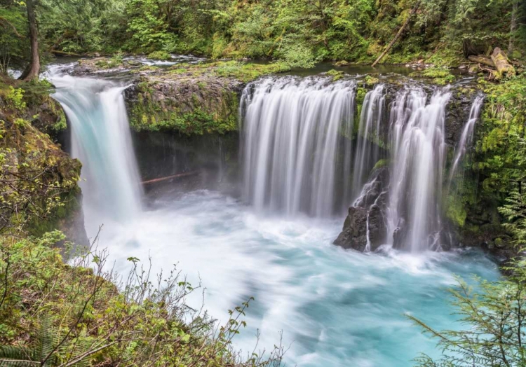 Picture of SPIRIT FALLS