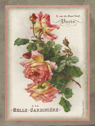 Picture of FRENCH ROSE I