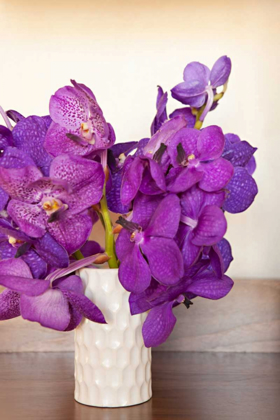 Picture of ORCHID BOUQUET